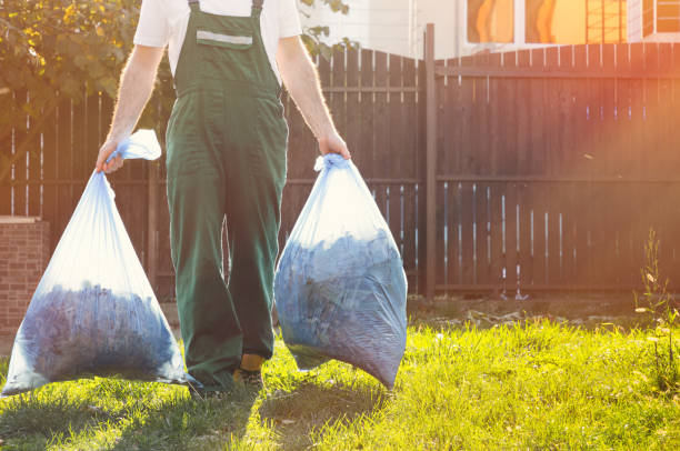 Best Electronics Removal Services  in Eagle, CO
